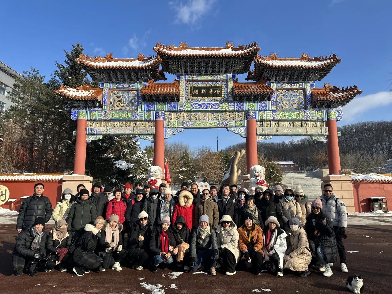 人民藥業(yè) 人民藥業(yè)